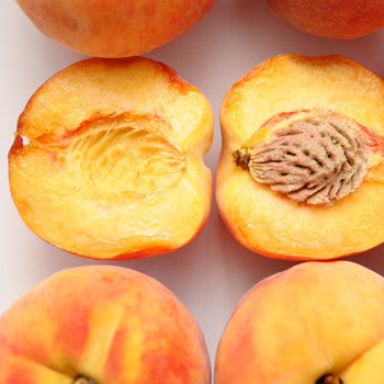 Peach Apricot Honeybush Herbal Tea - 'Just Peachy' Iced or Hot