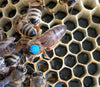 Queen Bee-Purdue Mite-biter (aka Indiana Leg-Chewer)